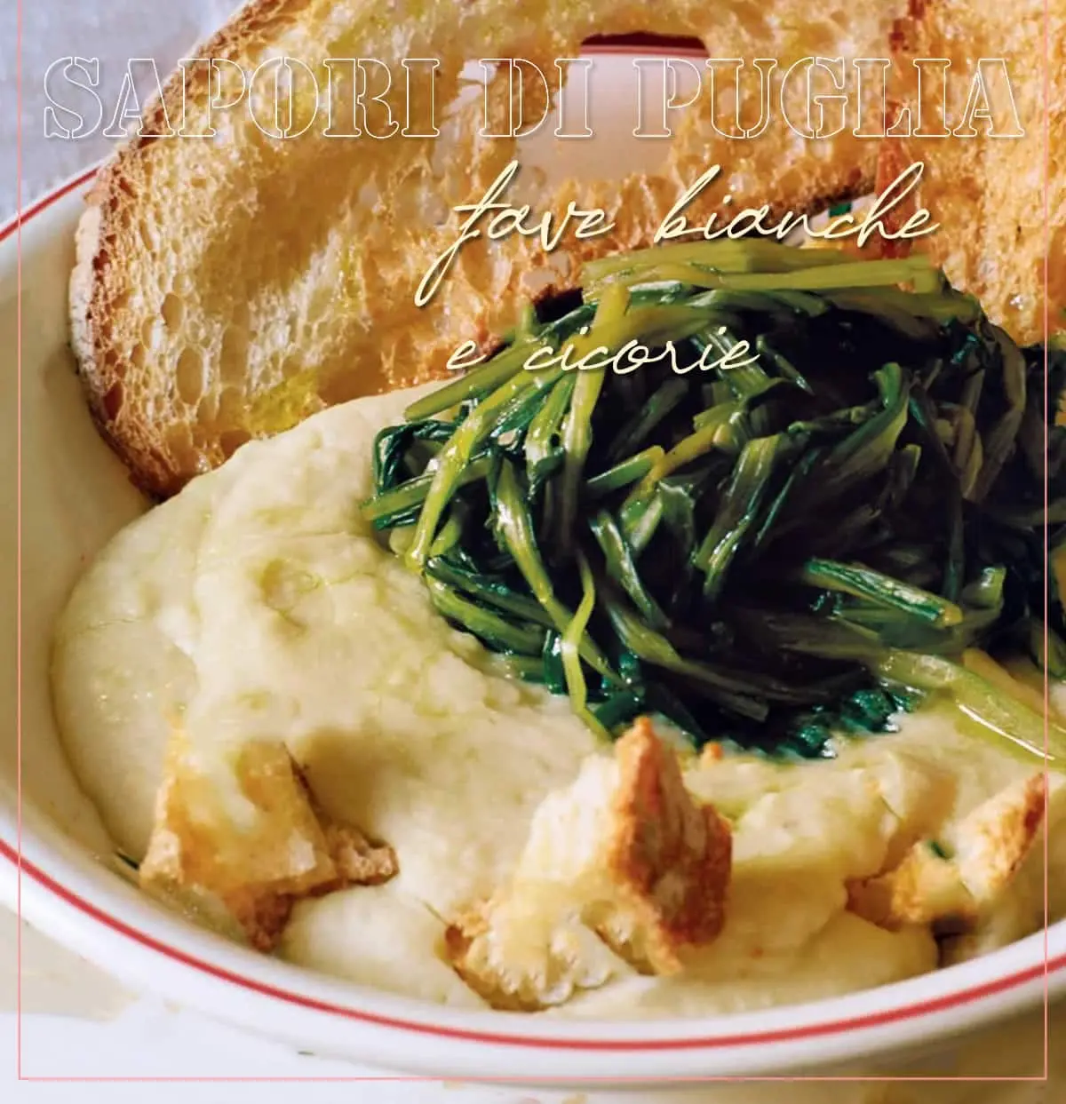 fave bianche e cicorie sapori di puglia salento a tavola lecce fave bianche e cicorie sapori di puglia salento a tavola lecce