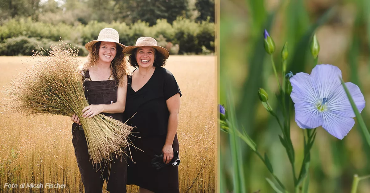 lino tessuto momento del raccolto shannon welsh e angela wartes kahl