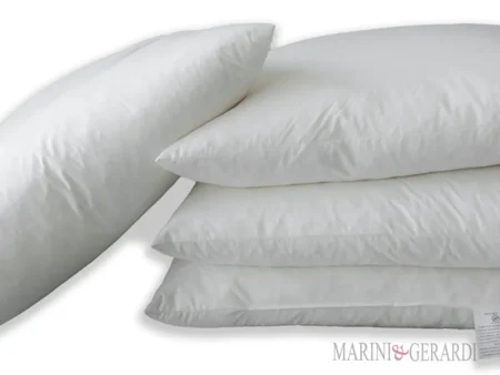 Riempimento cuscino in piume 60x60 cotone no acari