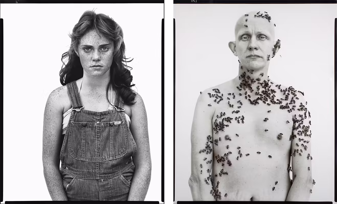 Sandra bennett twelve year old richard avedon ronald fisher beekeeper Sandra bennett twelve year old richard avedon ronald fisher beekeeper