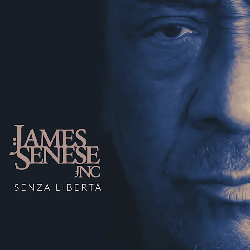 James senese senza liberta James Senese senza liberta - Copertina Album