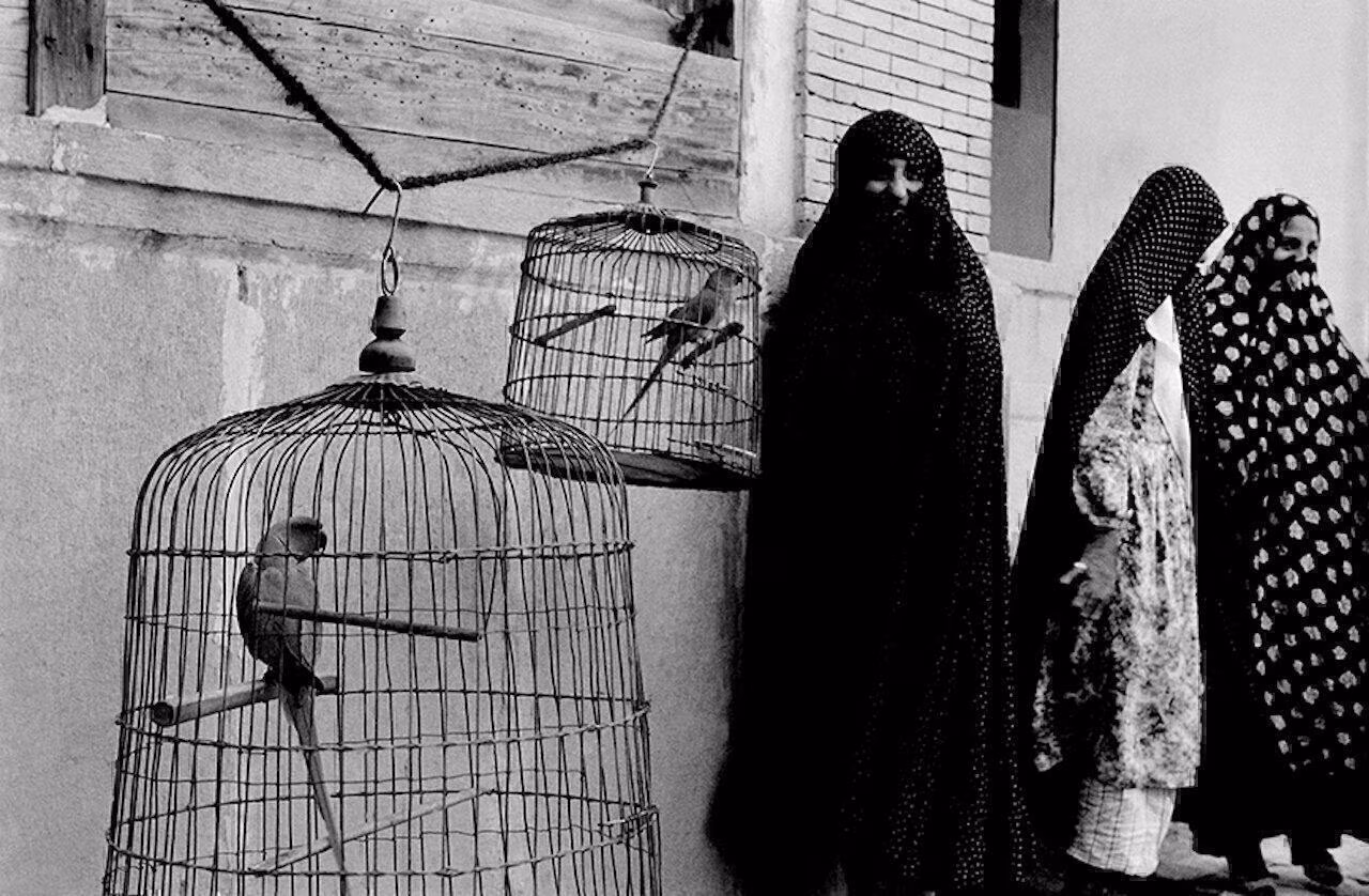 Inge morath tre mogli con i pappagalli 1956 Inge morath tre mogli con i pappagalli 1956