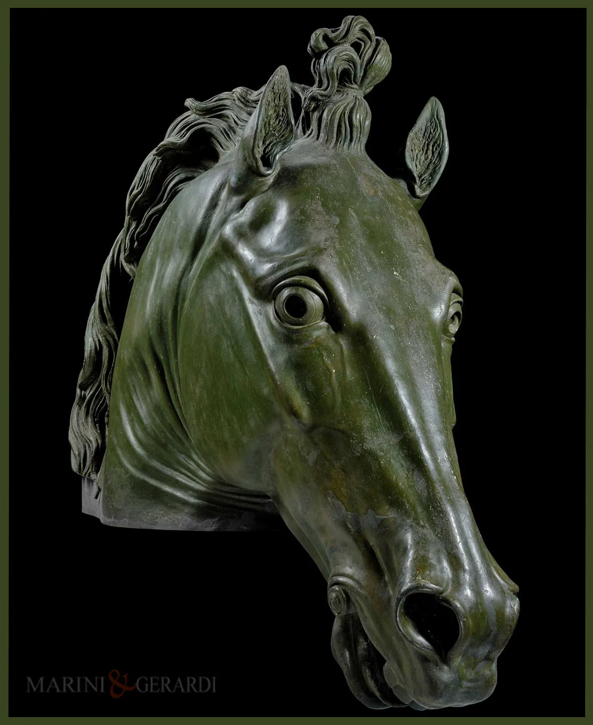 Testa cavallo colossale canova milano Testa cavallo colossale canova milano