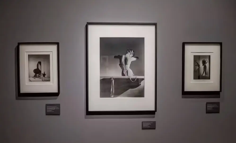 Gli scatti di oltre 70 fotografiparlano della collezome di carla sozzani Gli scatti di oltre 70 fotografiparlano della collezome di carla sozzani